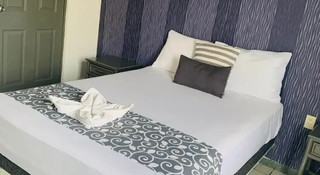 Номер Standard Hotel & Suites Bausan