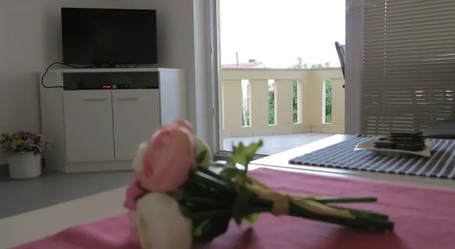 Apartment Adam