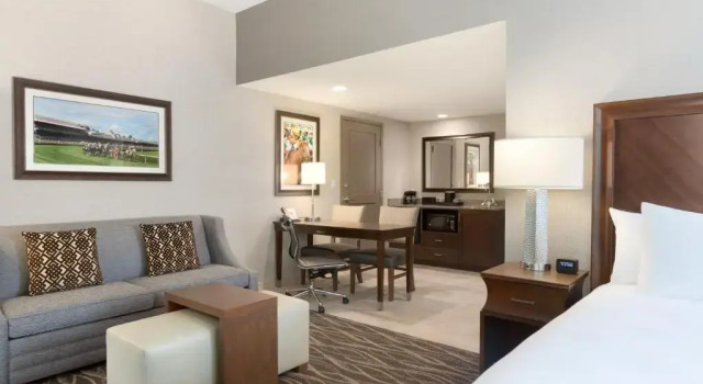 Люкс Embassy Suites Saratoga Springs