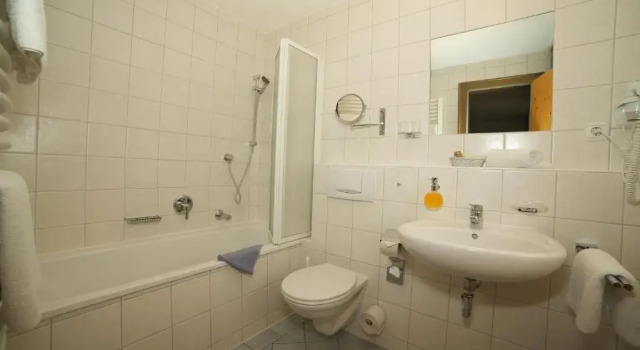Номер Standard Hotel Oberschmied