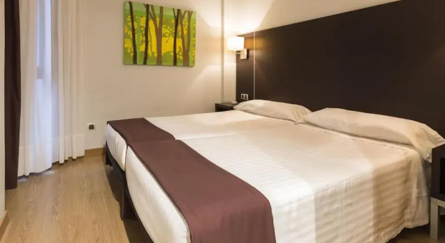 Двухместный номер Hotel Plazaola