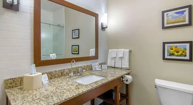 Номер Standard Comfort Inn & Suites Shawnee - Kansas City