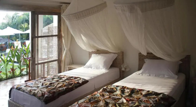 Номер Standard Papaya Guesthouse