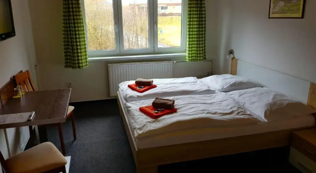 Двухместный номер Standard Hotel Sasanka