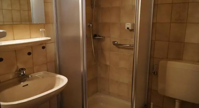 Одноместный номер Standard Hotel zum Goldenen Ochsen