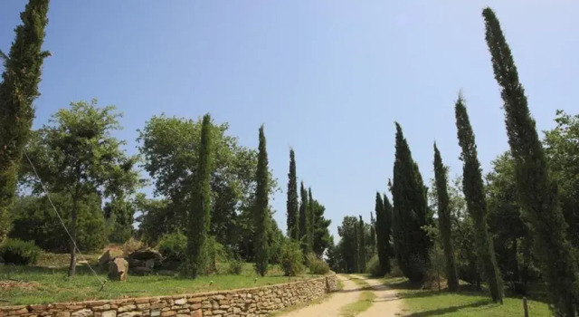 Вилла Tenuta Angelici Winery Casa Contea with pool and panoramic pool Cortona