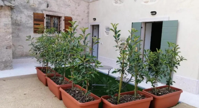 Апартаменты Цокольный этаж Agriturismo Le Anze