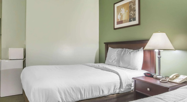 Четырёхместный номер Standard Econolodge Huntsville