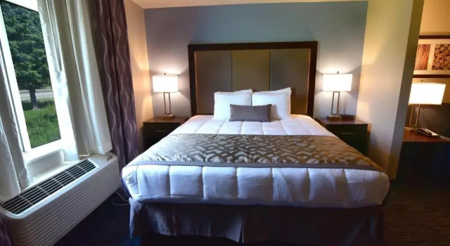 Номер Standard Best Western Plus Flint Airport Inn & Suites