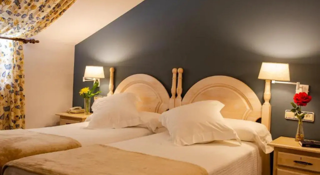 Двухместный номер Hotel Palacio De La Viñona