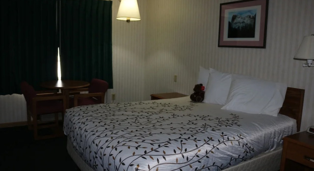 Двухместный номер Economy Roosevelt Inn Mount Rushmore