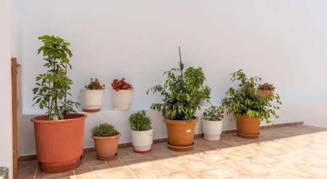 Апартаменты Naxos Almyra Apartment 22