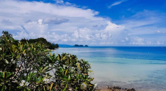 Бунгало с видом на море Zama Resort Koh Phangan
