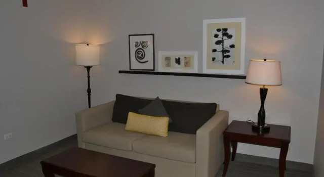 Двухместный люкс c 1 комнатой Country Inn & Suites by Radisson, Gurnee, IL