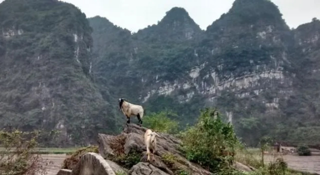 Hoa Lu Shack