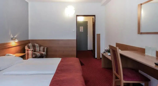 Habitación individual Estándar Hotel Globus