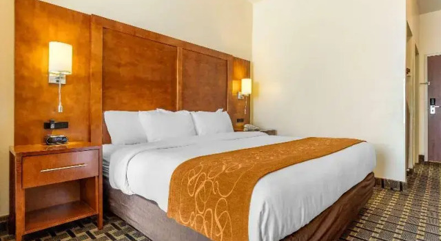 Номер Standard Comfort Inn Summerville - Charleston