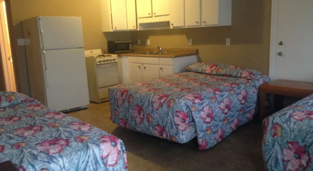 Номер Standard Oasis Motel