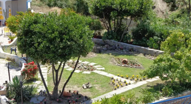 Il Mediterraneo, Rezervasyon Otel Ponza kahvaltılı oteller, Kahvaltı