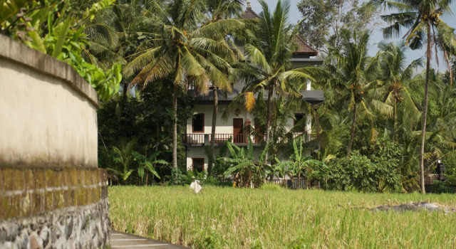 Номер Deluxe Eden House Ubud