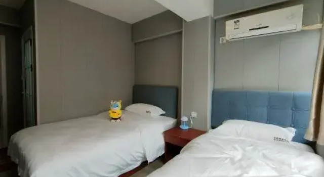 Номер Standard Venus E-sports Apartment