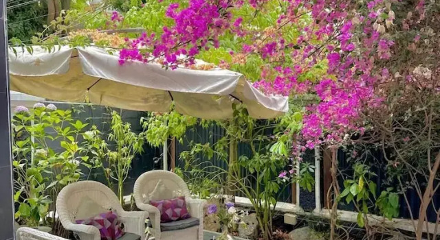 Номер Premier La Blanca Hotel