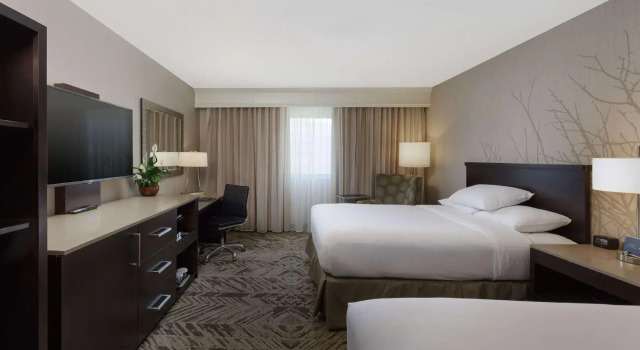 Четырёхместный номер Standard Hilton Cincinnati Airport