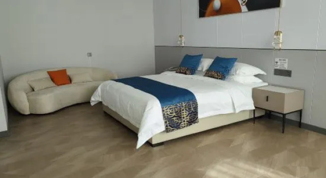 Люкс Business Begonia Hotel