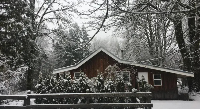 Коттедж Sunwolf Riverside Cabins