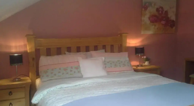 Двухместный номер Deluxe Tullaleagan Guesthouse