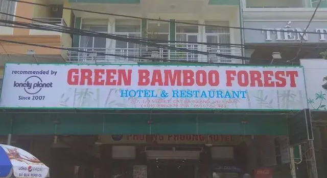 Green Bamboo Forest Cat Ba