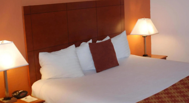Номер Standard Best Western Plus University Inn