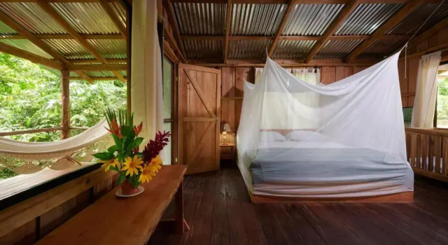 Бунгало Deluxe Finca Amistad Cacao Lodge