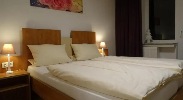 Двухместный номер Standard Hotel Winterberg Resort