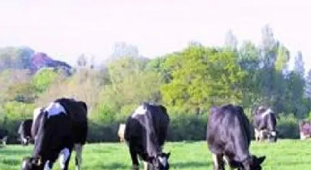 Canonsgrove Farm, Забронировать Фермерский дом Фермерские дома Англии, Фермерский дом