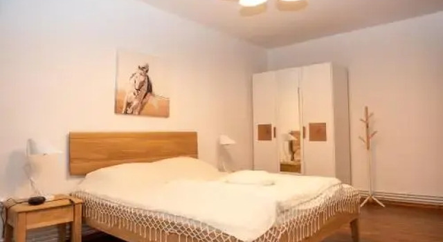 Classic Apartment Near The City Center, Varaa Huoneisto Cluj-Napoca 