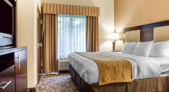 Одноместный номер Standard Comfort Suites At Kennesaw State University