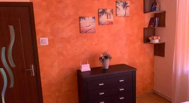 Апартаменты c 1 комнатой Vlad's apartment