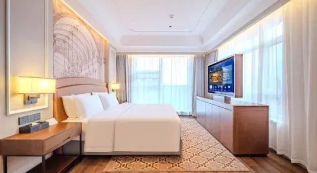 Люкс Business Vienna International Hotel (Changchun Jilin Avenue Dongsheng Street Subway Station Branch)