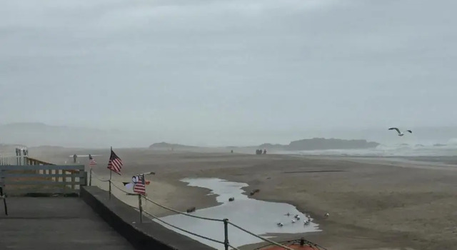 Номер Standard The Sandcastle Beachfront Hotel
