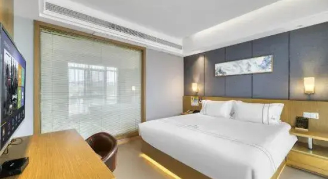 Люкс Business Freemind Hotel