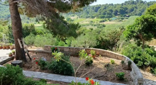 Студия Apartmani Green Oasis