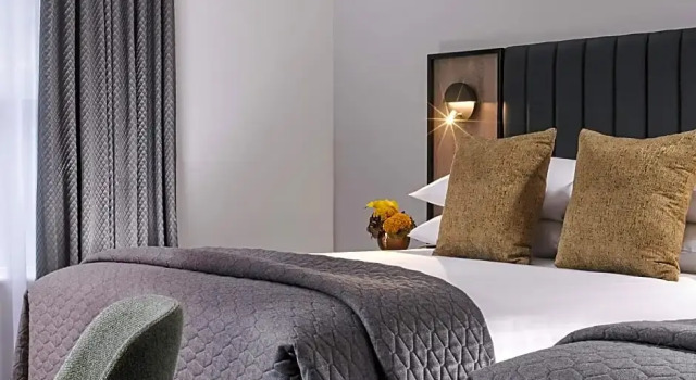 Номер Executive Shannon Springs Hotel