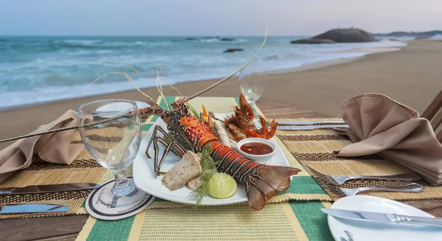 The Beach Camp Yala