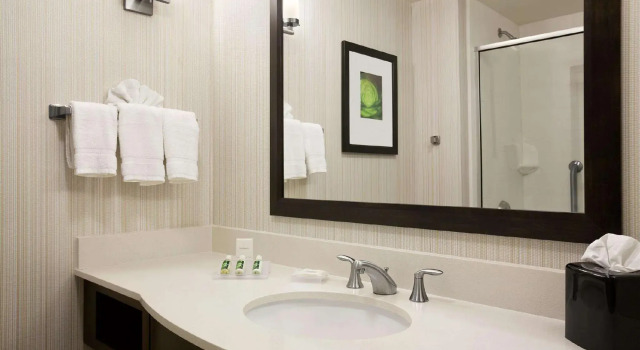 Двухместный номер Standard Hilton Garden Inn Rochester/Pittsford