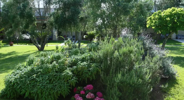 Четырёхместный номер Standard La Casina Di Borgagne