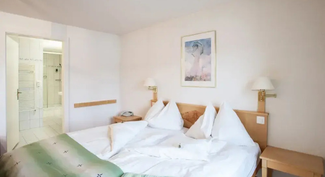 Полулюкс с балконом Garni Hotel Frohburg