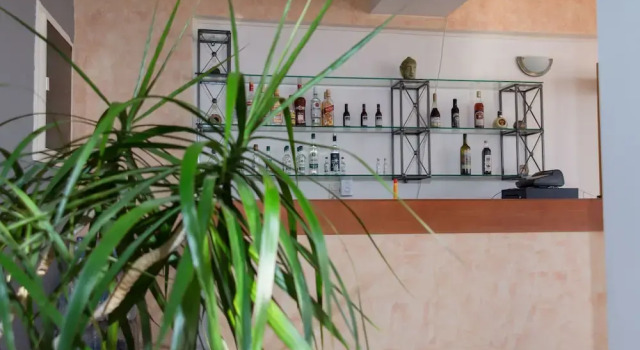 Hotel Milton, Book Hotel Mavrovouni Lakonia