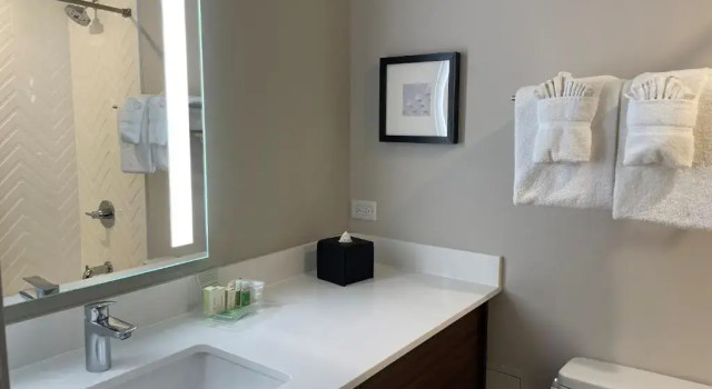 Двухместный номер Standard Holiday Inn & Suites Chicago-Downtown by IHG