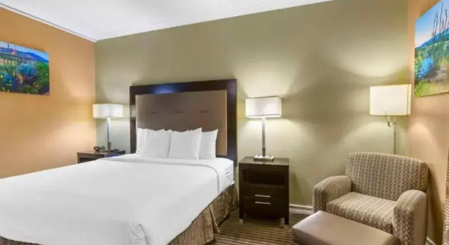 Двухместный номер Deluxe с балконом Royal Sun Hotel & Suites